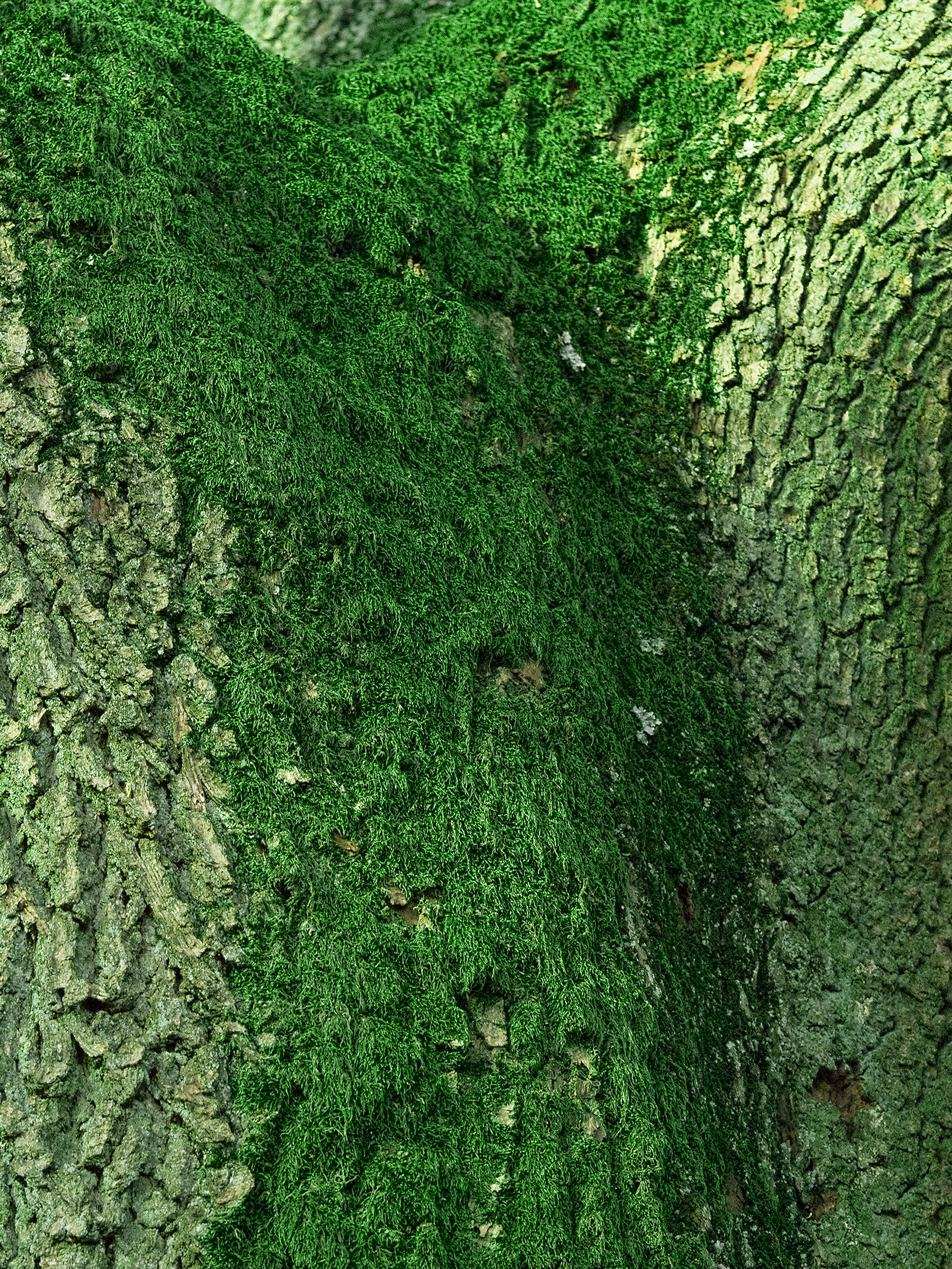 Die Schönheit des Herbstes